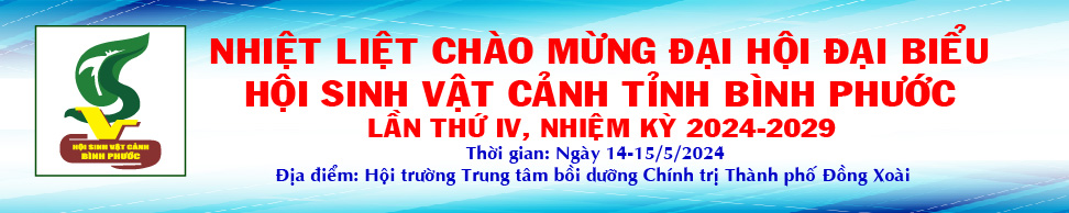 Chào mừng Đại hội